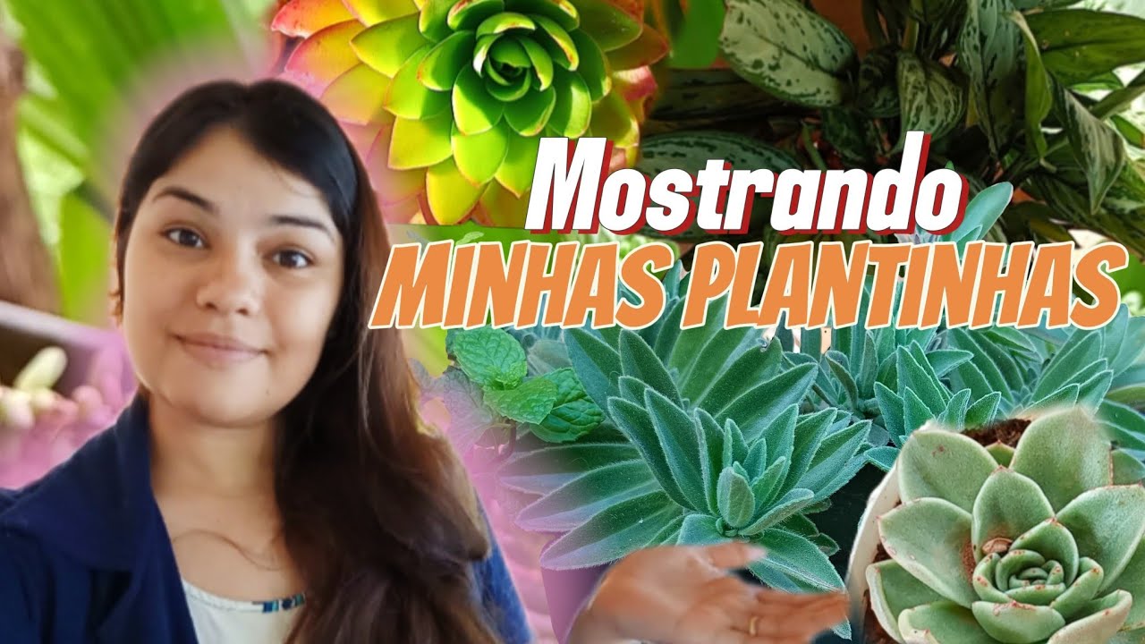 Mostrando aqui no nosso canal as plantas que eu tenho na minha casa