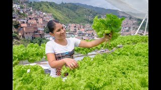 Terrazas Verdes - Comuna 13 Medellín