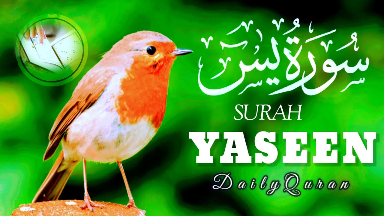 Surah Yaseen Yasin full with Arabic Beautiful recitation سورہ یسین 36 ...