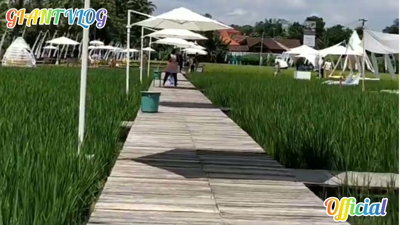 wisata Hit Instragrambel Borobudur Magelang Jawa tengah