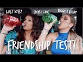 DRUNK FRIENDSHIP TEST! | ft my older sister | Sophie Clough