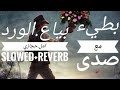 بياع الورد Amal Hijazi Bayya Al Ward امل حجازى Slowed And Reverb 