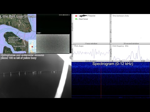 SEICHE WATER TECHNOLOGY GROUP LTD Live Stream