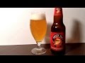 573 shock top brewing co shock top raspberry white