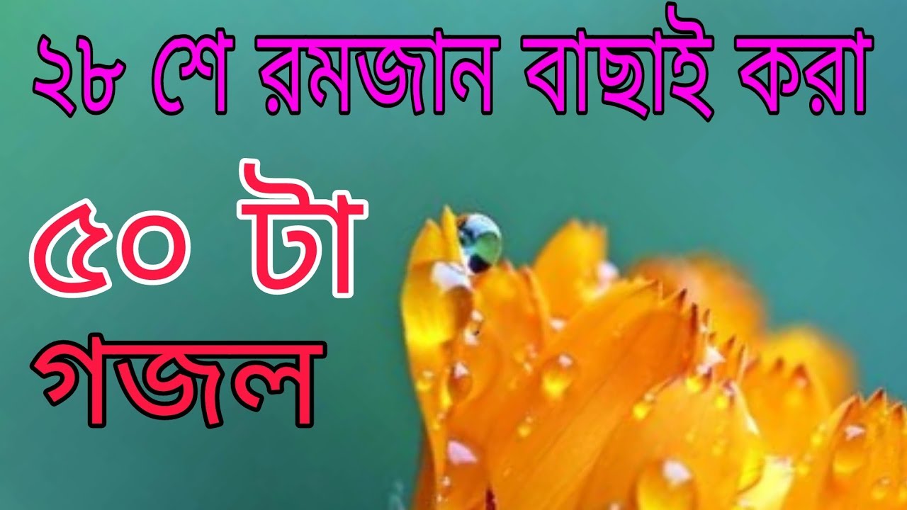 ৫০ টি বাছাই করা গজল ২৮শে রমজান ২০২২ | গজল টি শুনলে চোখে পানি চলে আসে যায় | Islamic song bangla