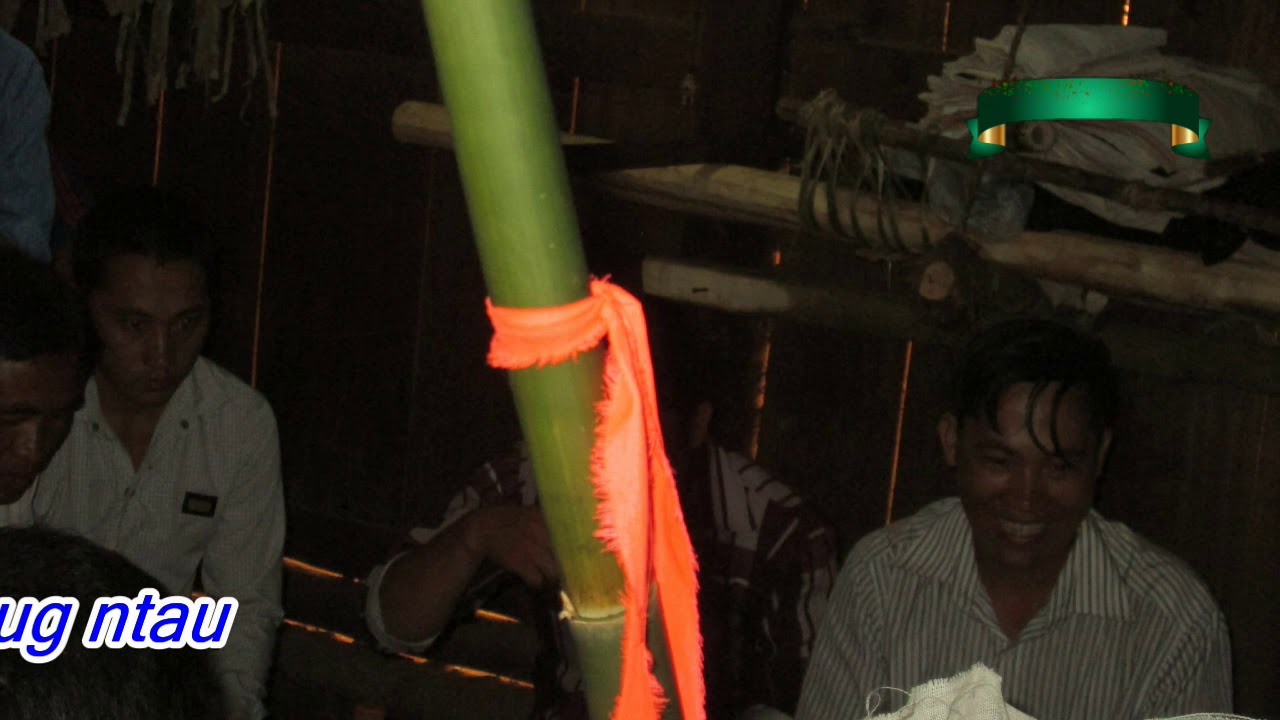 Txiv xaiv - Xeev  Yawm Txwj