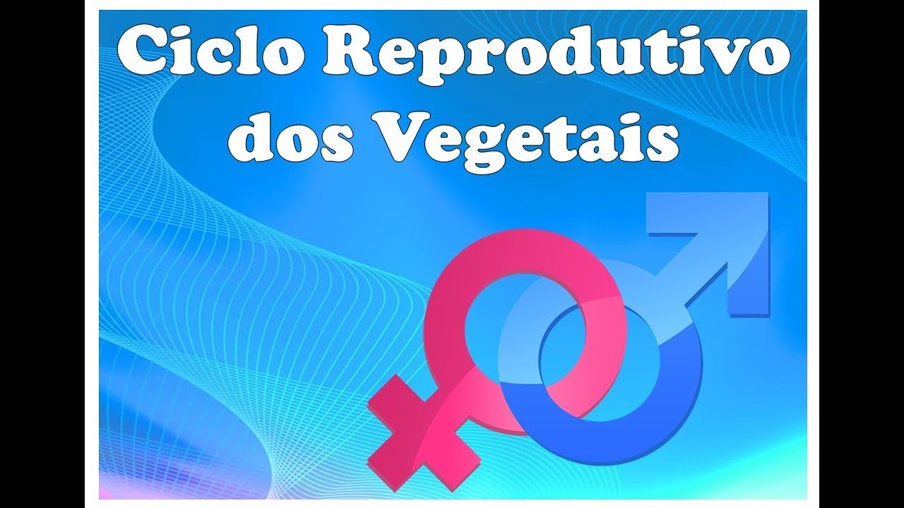 Reprodução dos vegetais e principais características - YouTube