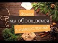 Зачем мы обращаемся к нумерологам?