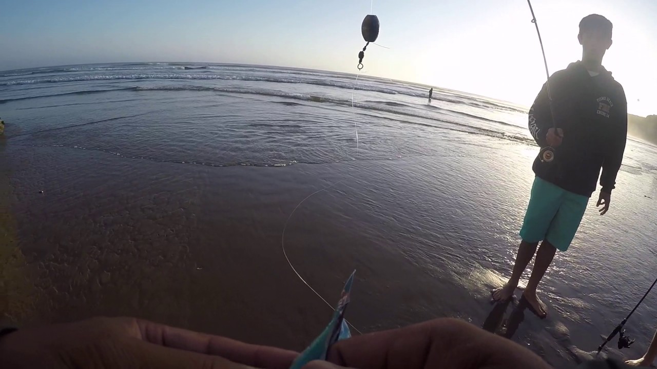 Fishing for surf perch at Pismo Beach YouTube