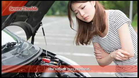 Bando Preventative Maintainance Tips for Power Transmission Belts