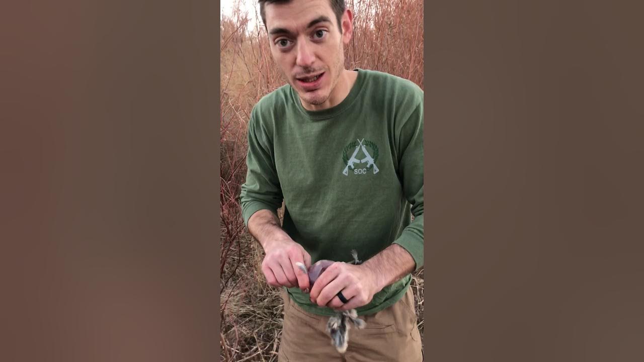 How to field dress a quail YouTube