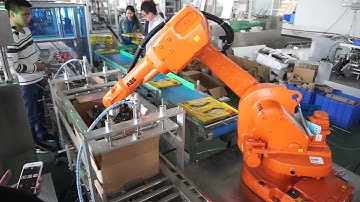 KUKA Palletizing Robot for  Frozen Food/Dumplings