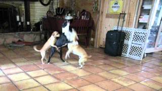 DSCN6576.AVI