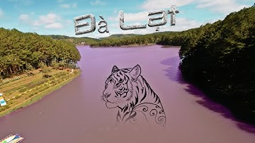 Đà Lạt Cinematic FPV Drone Tour | Tuyen Lam Lake, Xuan Huong Lake & City Landmarks