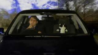 Toonces' Cousin - Singing Car Cat 2
