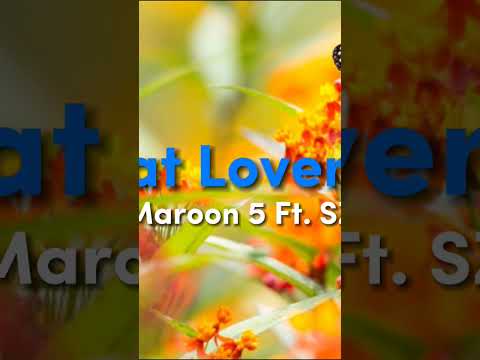 Maroon 5 -