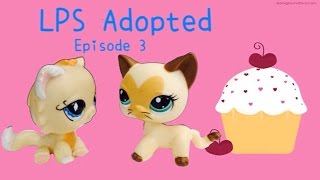 LPS: Adopted) Episode 3: Baking battles