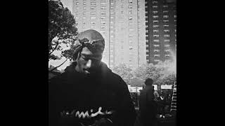 [FREE FOR PROFIT] NAS X MOBB DEEP Type Beat - "OVERLY" | Old School Boom Bap Instrumental