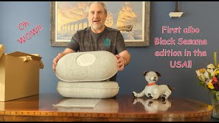 Unboxing America's FIRST Black Sesame edition aibo ERS-1000