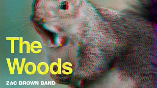 Zac Brown Band - The Woods (Official Music Video) | The Owl