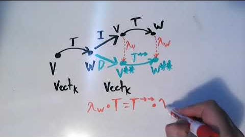 Natural Transformation from Vector Spaces to their Double-Dual spaces
