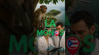 Cayo Santiago: La Isla de los Monos en Puerto Rico