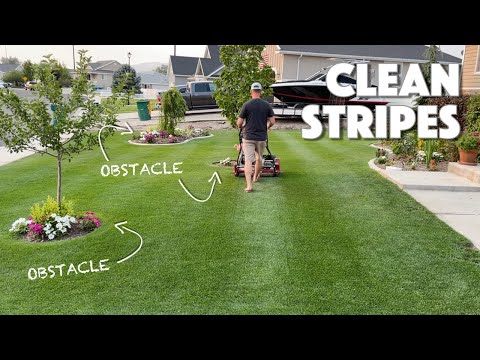 How To MOW STRIPES AROUND OBSTACLES