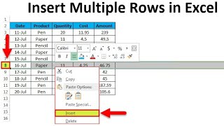 Insert Multiple Rows by 2 Different ways in Excel database #shorts #excel #tipsandtricks #ytshorts