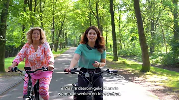 Kom werken bij de gemeente Waalre