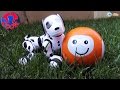 Собака Зумер - Интерактивная игрушка. Ярослава играет с роботом собакой Zoomer. Видео для детей