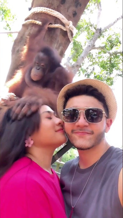 Risteena Baru Je Nak Romantik, Tiba-Tiba Kena Hempok Dengan Orang Utan...