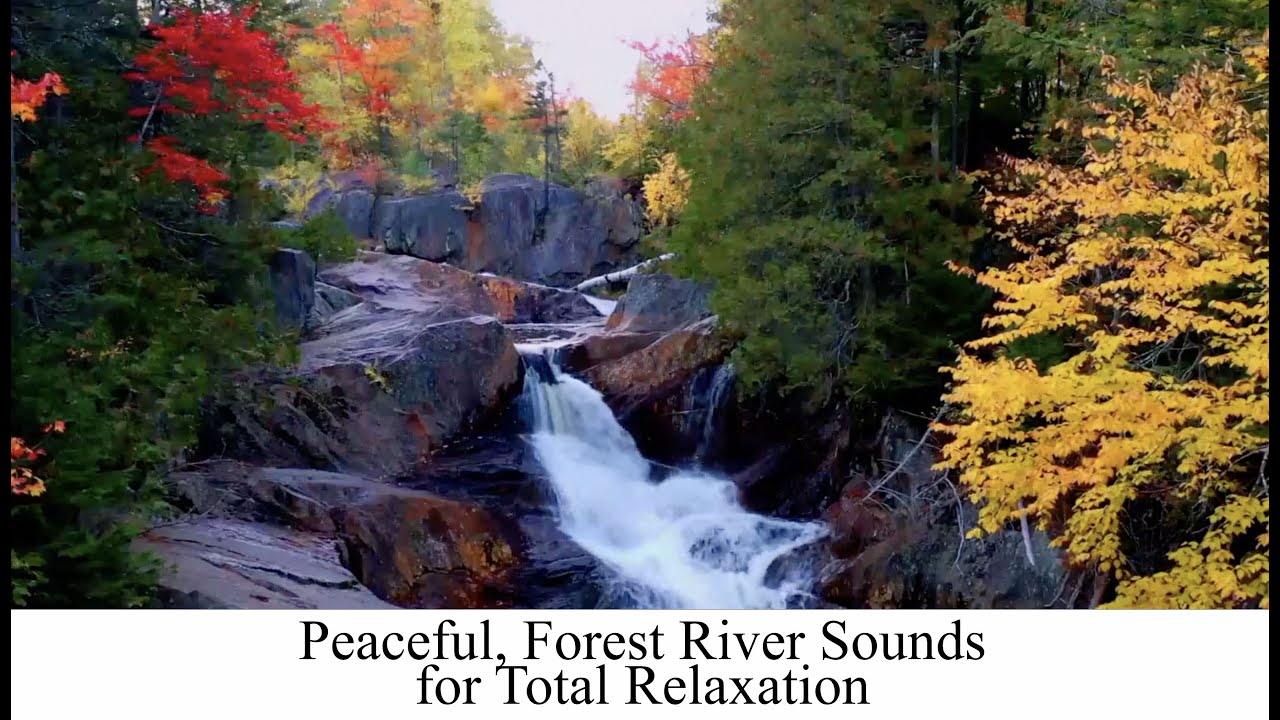 Calming, Relaxing River Sounds - Peaceful Forest Rivers - 3 Hours Long ...