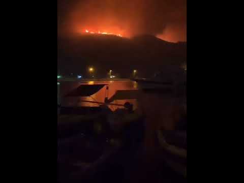 🎯Son dakika Muğla'da Datça'da yangın gece saatlerinde devam ediyor