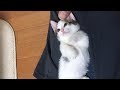 もう一度、豆大福にチャレンジするお父さん