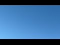 【ふたりぱぱvlog】