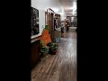 Ghost Hunt Alberta at East Coulee School Museum Oct 2025