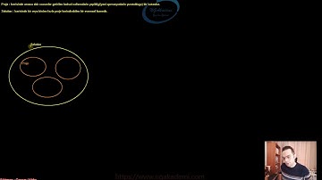 6) Proje ve Solution Kavramları