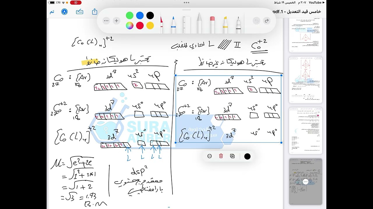 ١٩ شباط، ٢٠٢٦