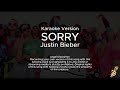 Justin bieber  sorry karaoke version