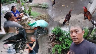 Download Lagu NGRIWIS RA TERANG2 MUTER DI TETANGGA GAK TAUNYA RIBUT LAGI SAKIT !! MP3 Download Lagu NGRIWIS RA TERANG2 MUTER DI TETANGGA GAK TAUNYA RIBUT LAGI SAKIT !! MP3
