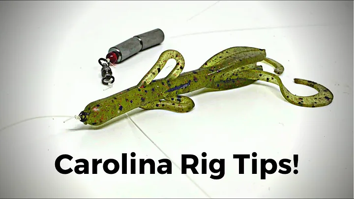 2 Must Know Carolina Rig Tips!