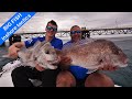 BIG snapper, grouper & dhufish inshore tactics I Soft plastics I Slow pitch jigging I Live bait