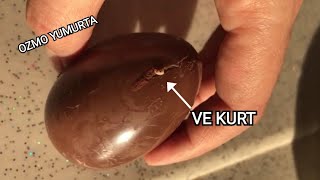 Ozmo Sürpri̇z Yumurtanin İçi̇nden Kurt Çikti