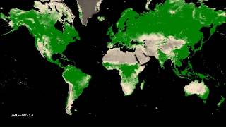 visualisation MOD13Q1 NDVI 2000-2019 created by Google Earth Engine