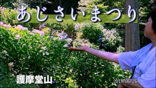 護摩堂山 あじさいまつり 2019/06/26 撮影