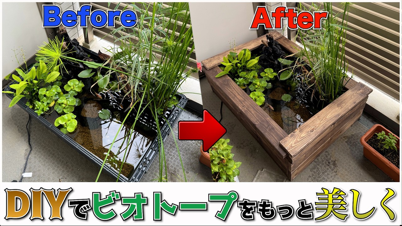 ビオトープをDIYで改良！木枠制作してみた【アクアリウム】 - YouTube