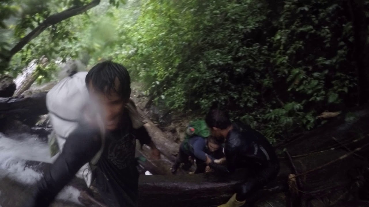 Jungle trekking Gunung Leuser Park day 6/7