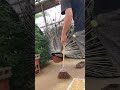 俺の日常