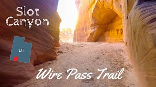 Wire Pass Trail to Buckskin Gulch (longest slot canyon in the world)