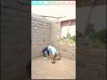 Yoga stunt shorts video/Belence hands legs/fitness Short video @Yoga_Withshubham